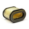 Briggs & Stratton Air Filter 692446